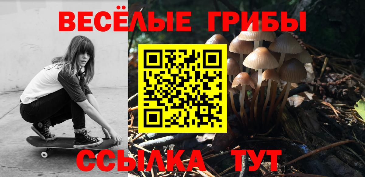 Галлюциногенные грибы Psilocybine cubensis Дедовск
